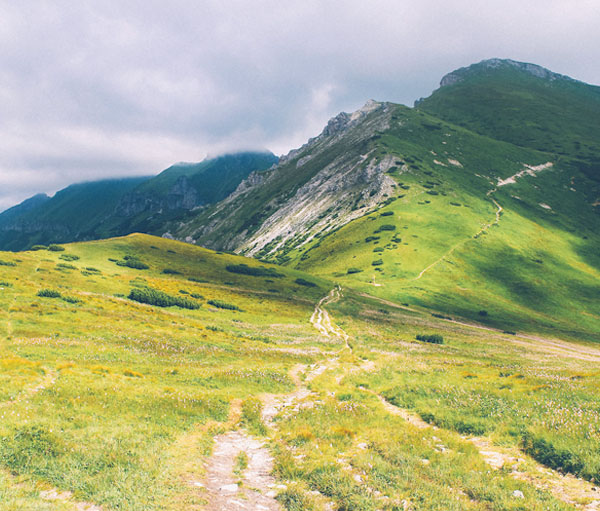 自动发货商城的网站攻击防护